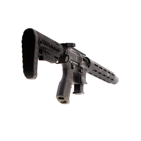 Carabine LEGACY ARMEMENT AR9 SD Custom Silence...