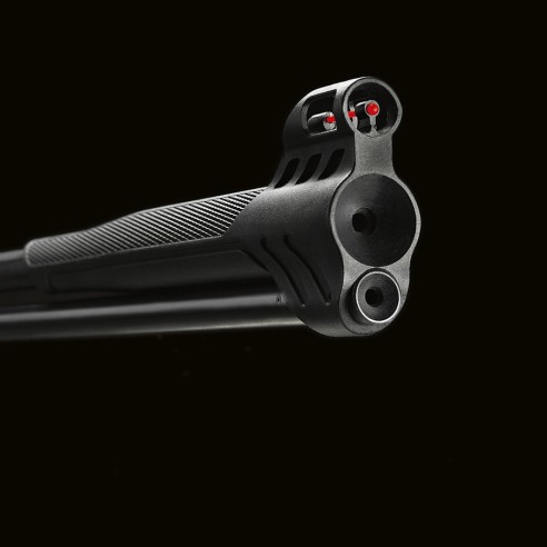 Carabine STOEGER RX40 Black 4.5mm 19.9J +...